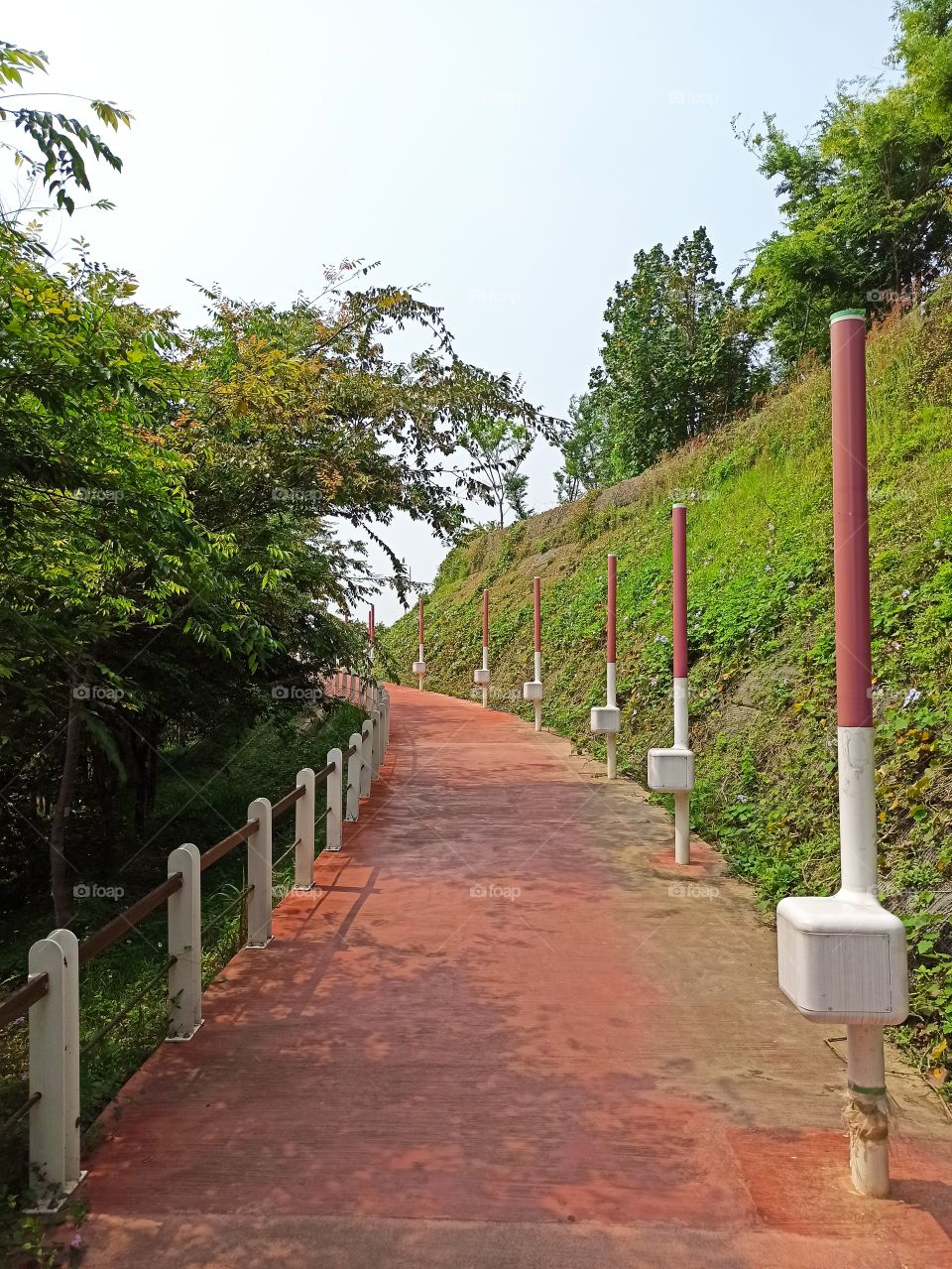 The path to the hill.