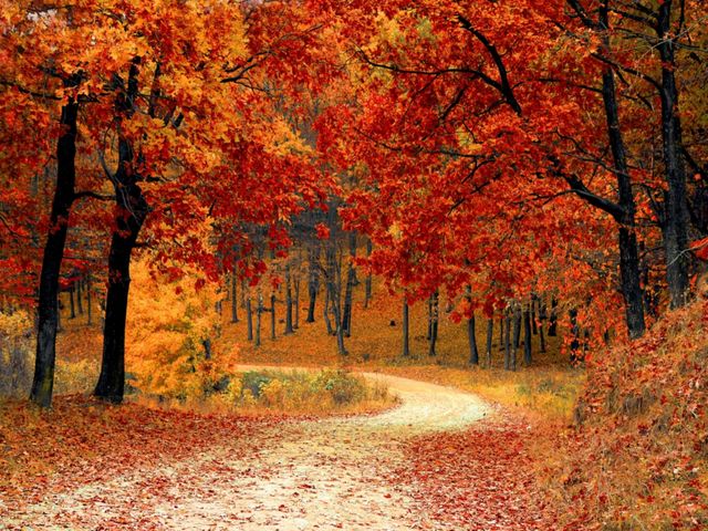 Autumn