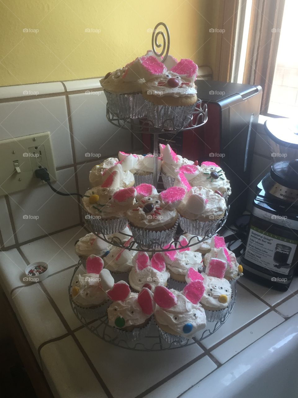 Bunny cupcakes

