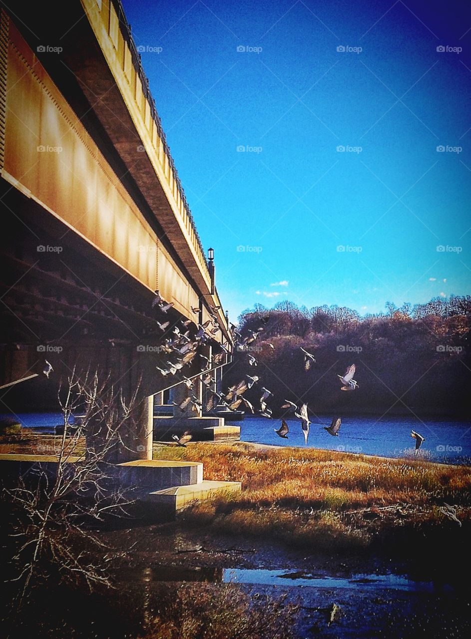 Housatonic Estuary Walk 