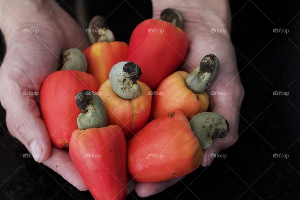 fresh cashew fruit