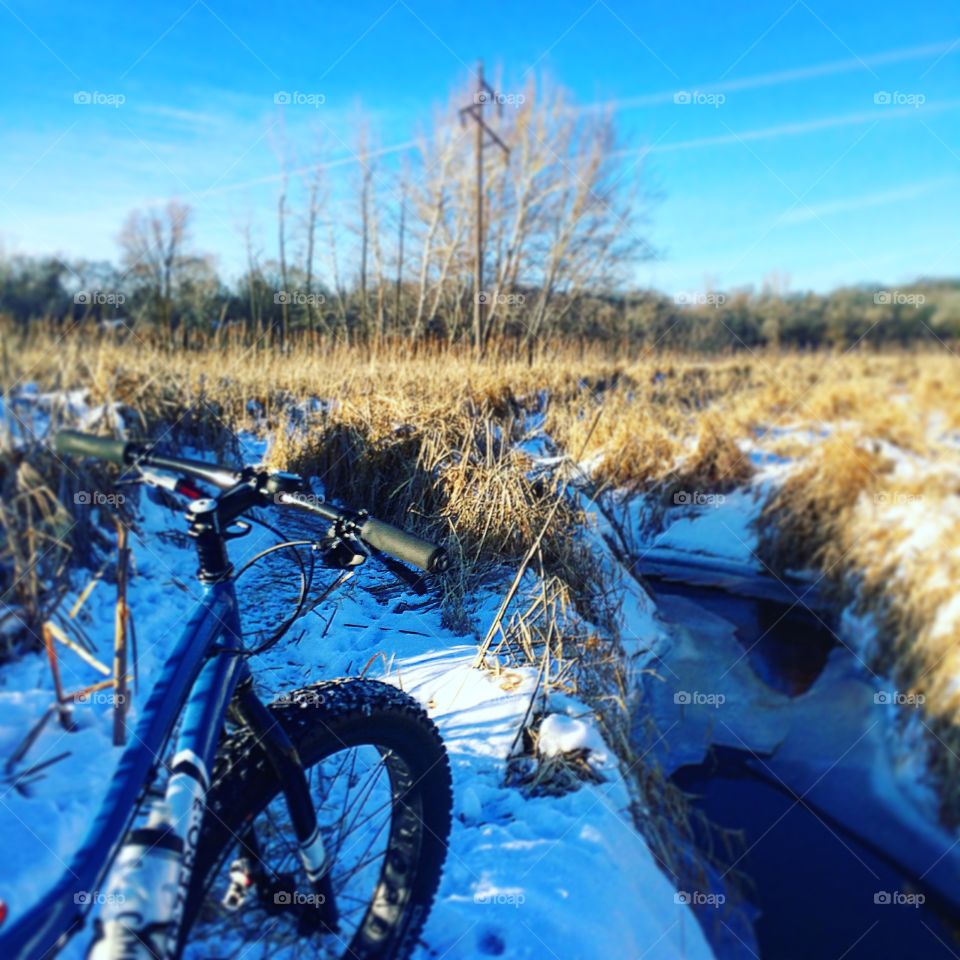 Winter bike in marsh in the suburbs
