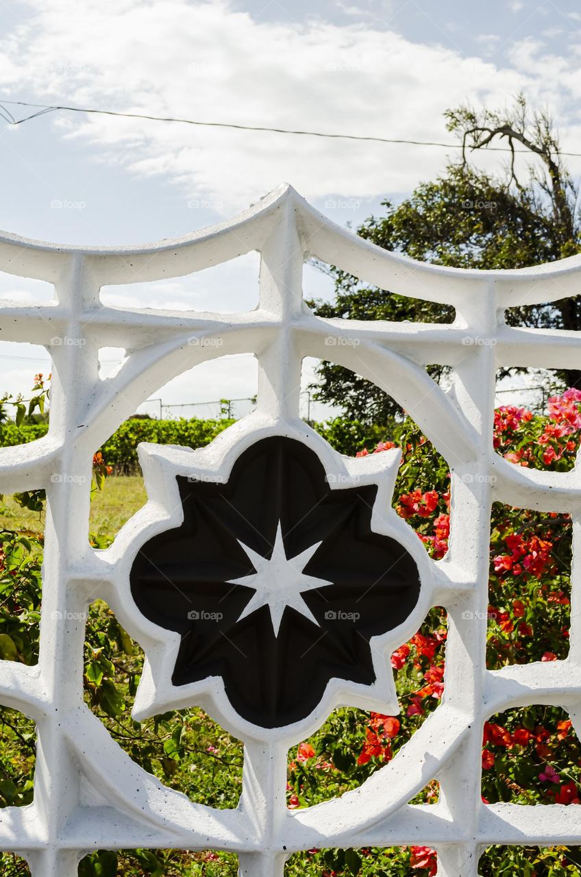 Black And White Fencing