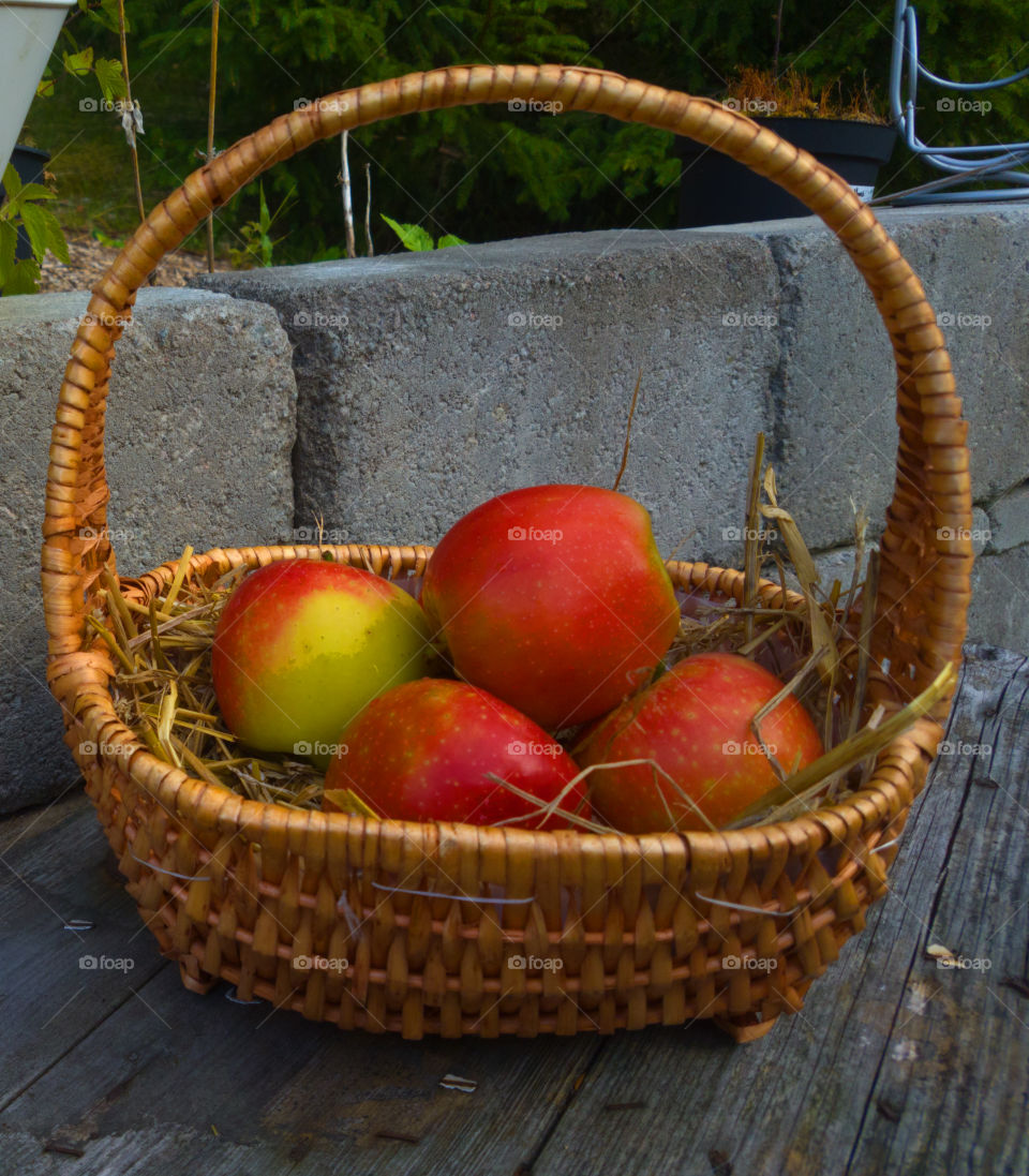 Apple in garden