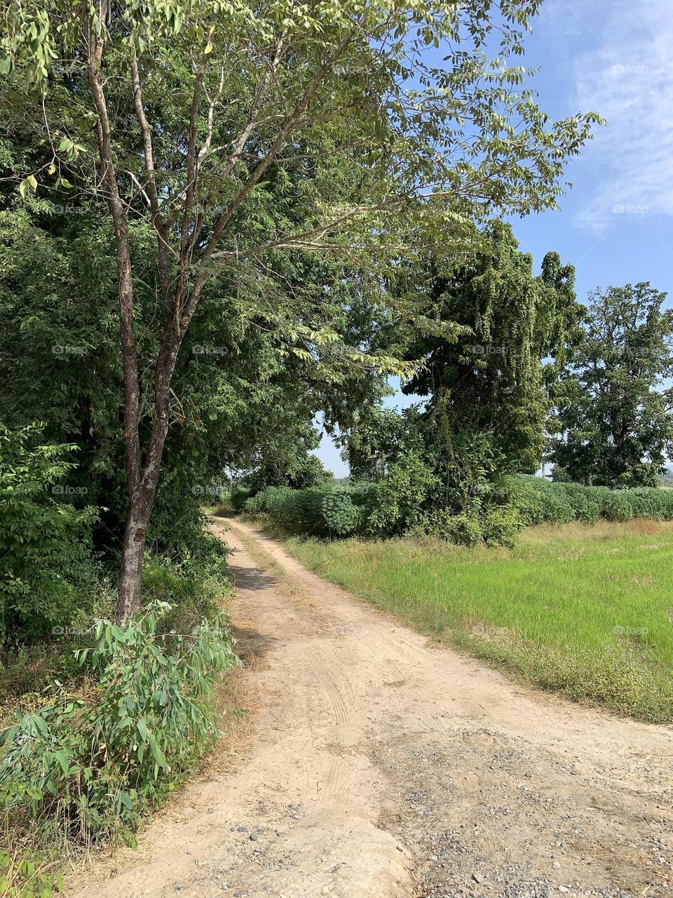 The stories of the road, Countryside (Thailand)