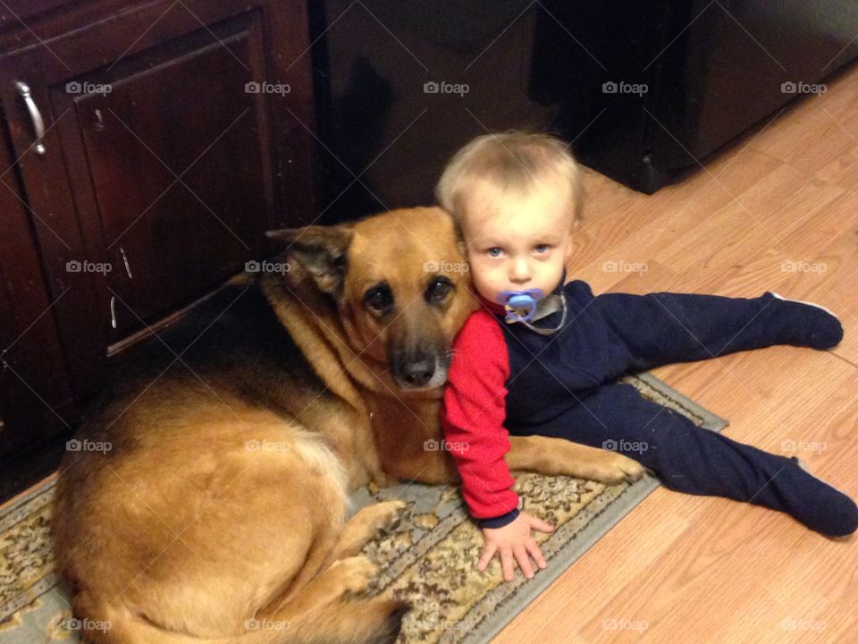 Best friends. Dog and baby 