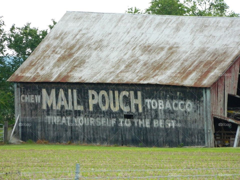 Mail pouch farm 