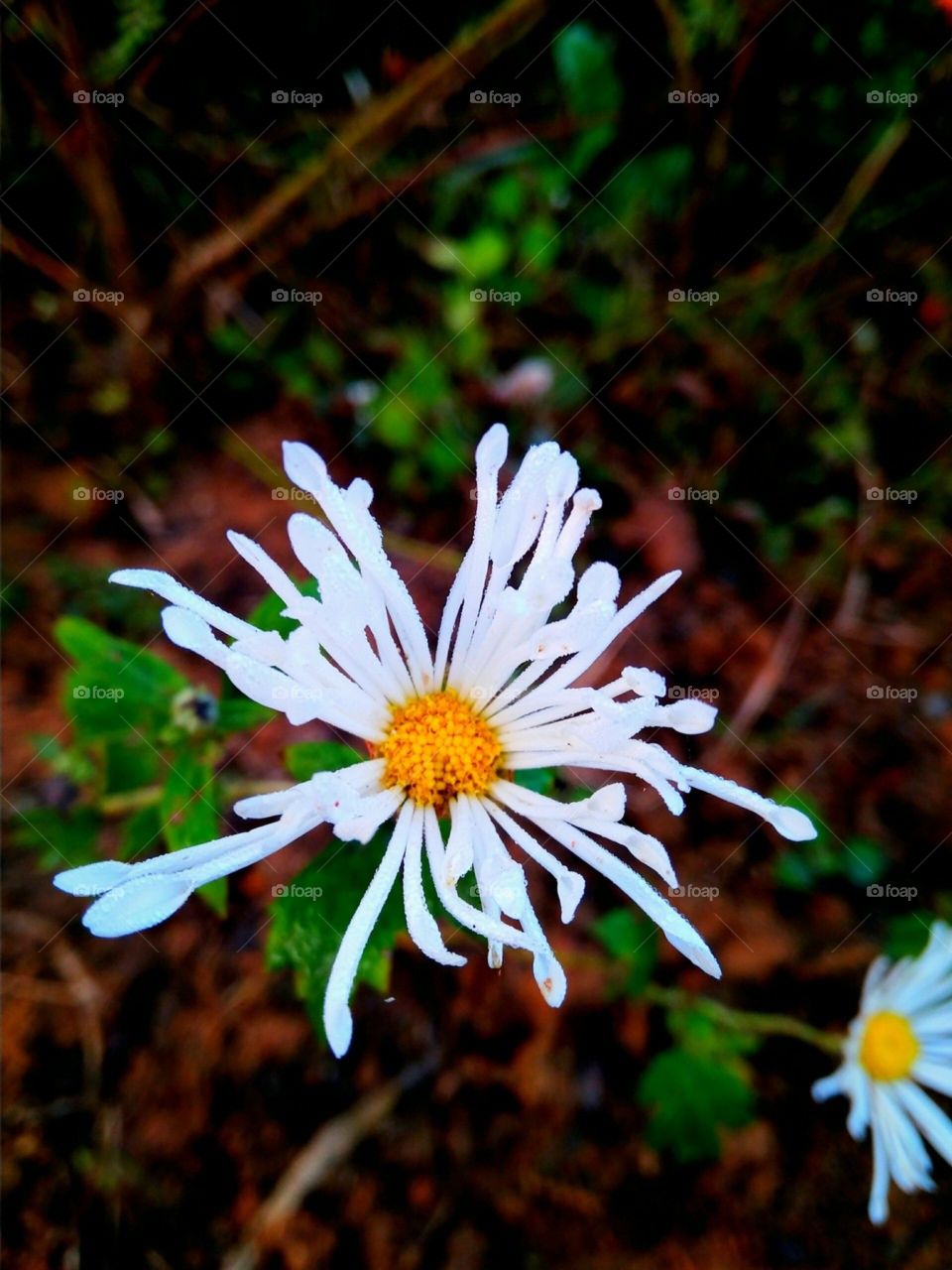 Nature says.. learn to hear