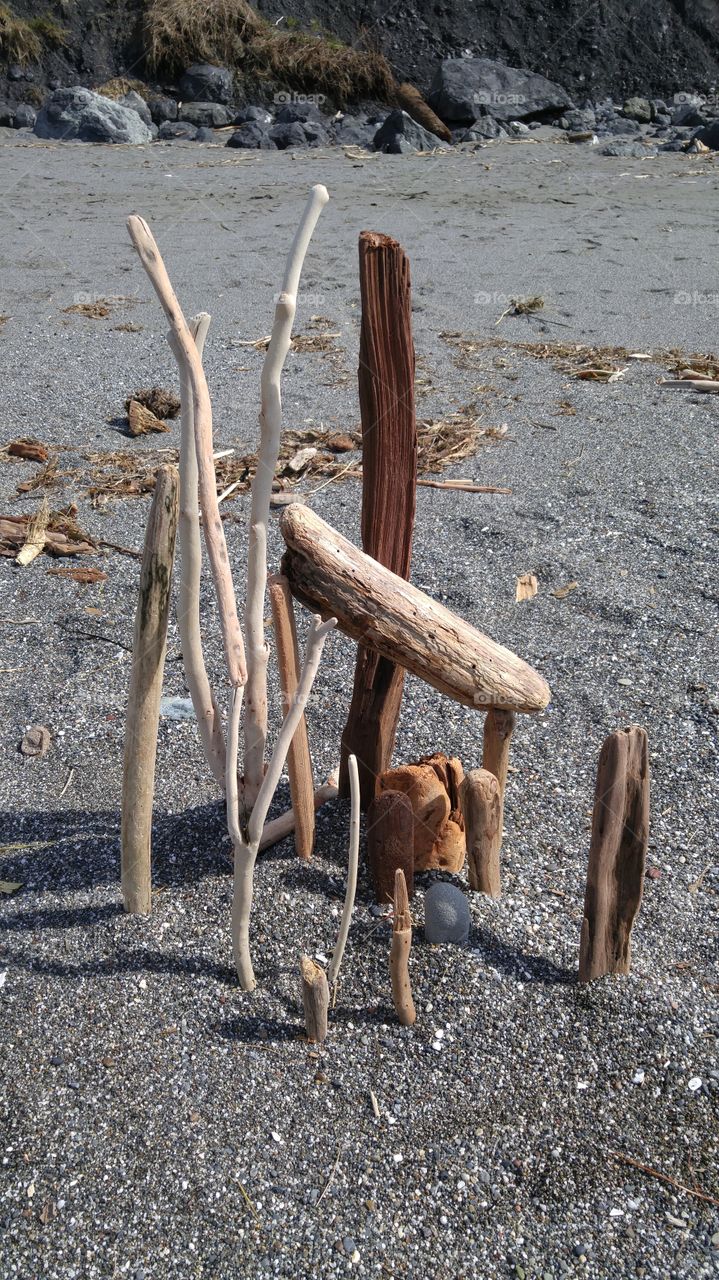 Driftwood Sculpture