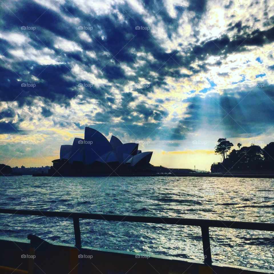 Cruising through Sydney harbour sunshine on the water. 