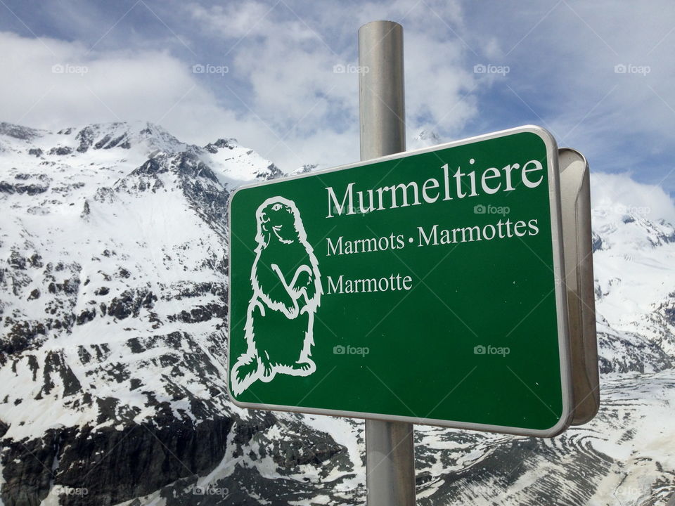 Marmots sign.