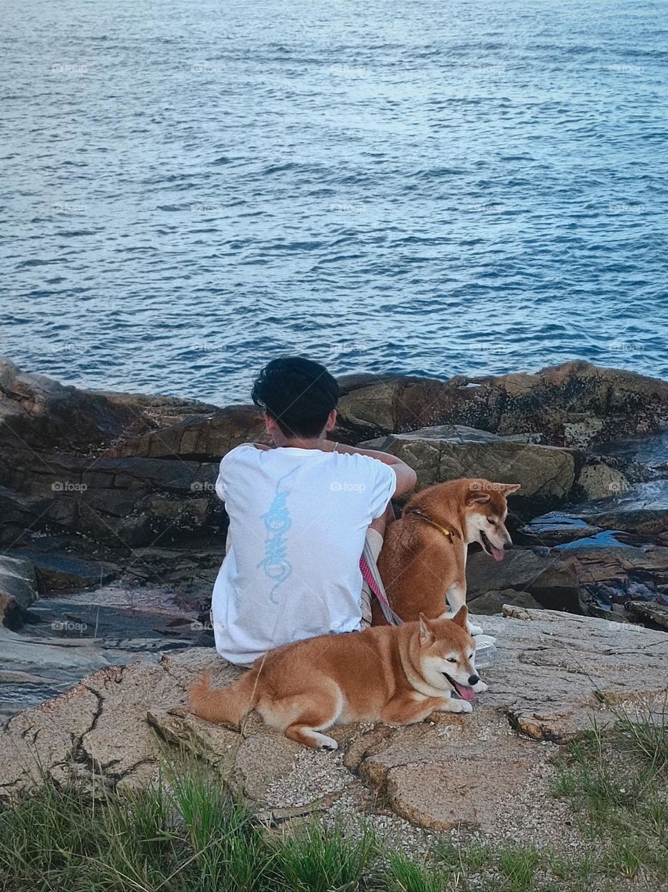 When the boy was meditating, the dogs beside him were also very quiet. It seems that they are enjoying the atmosphere of tranquility and harmony together.