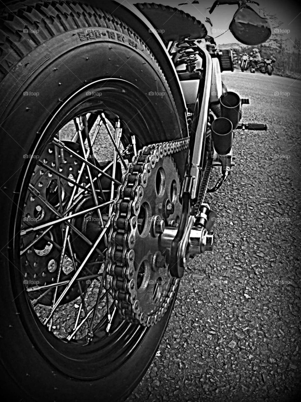 Harley Davidson bobber motorcycle