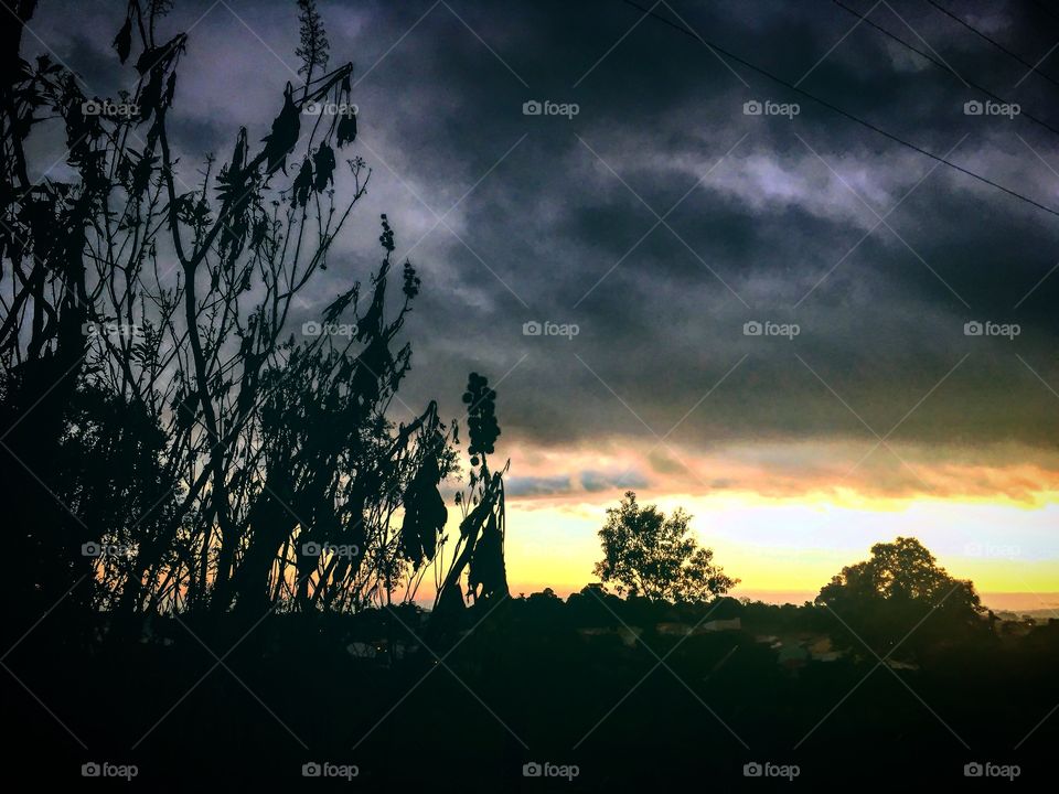 Quinta-feira de #cores fortes e #amanhecer de cenário diferente!
Dia de #chuva, de #nuvens ou de #sol?
🍃
#sun
#sky
#céu
#photo
#nature
#manhã
#morning
#alvorada
#natureza
#horizonte
#fotografia
#paisagem
#inspiração
#mobgraphia
#brazil_mobile
#FotografeiEmJundiaí