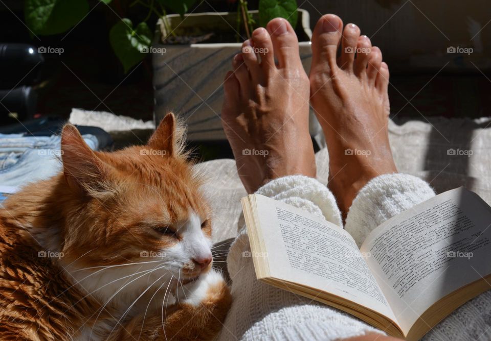 female legs barefoot and cat pet, relaxing and meditation