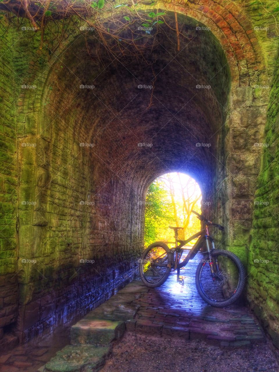 Tunnel Vision . Old Railway Bridge out Cycling