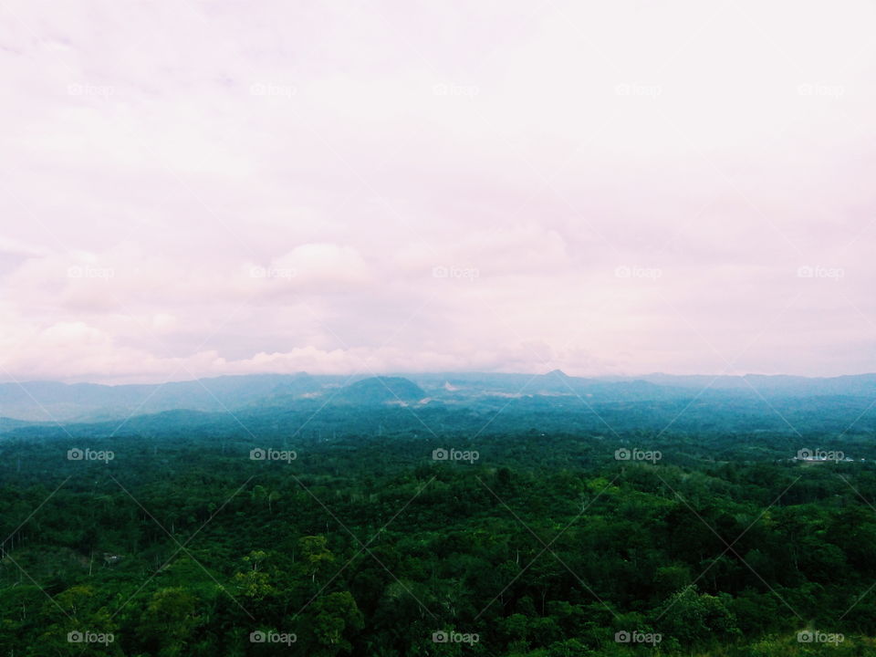Bukit kandis,bengkulu tengah,bengkulu,indonesia