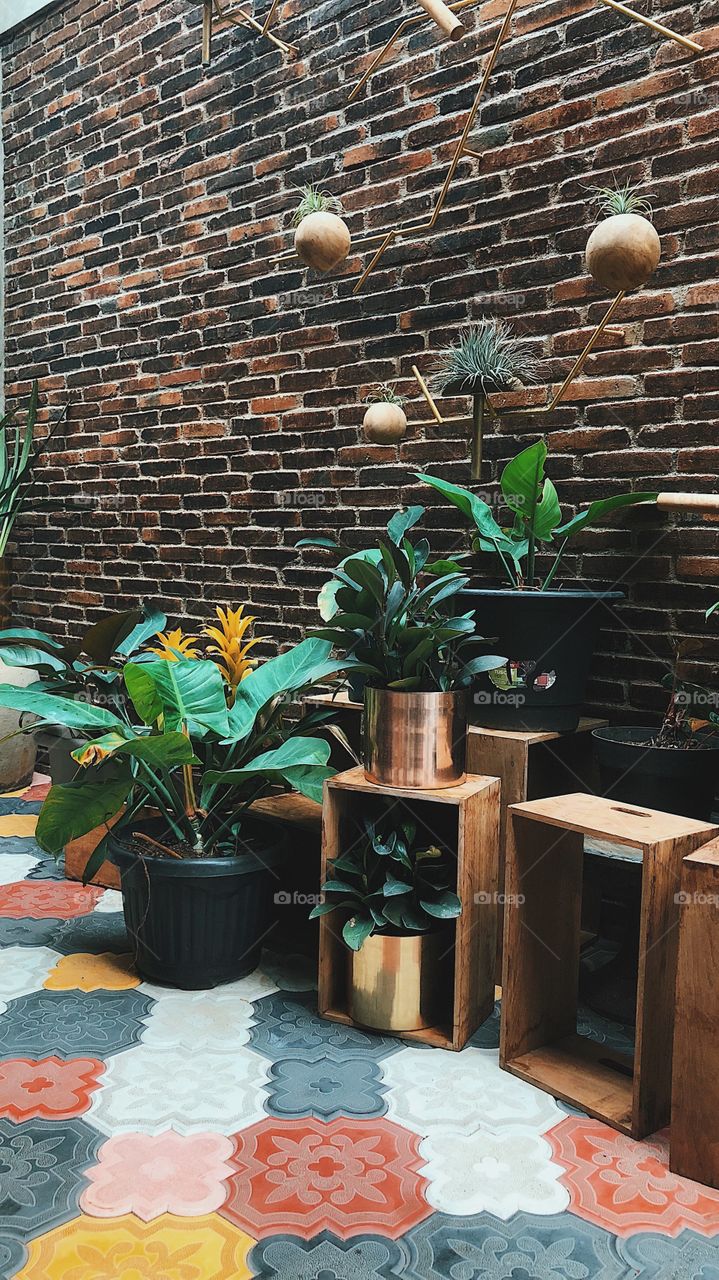 Indoor plants for a restaurant around my neighborhood. Love how they place it with different height