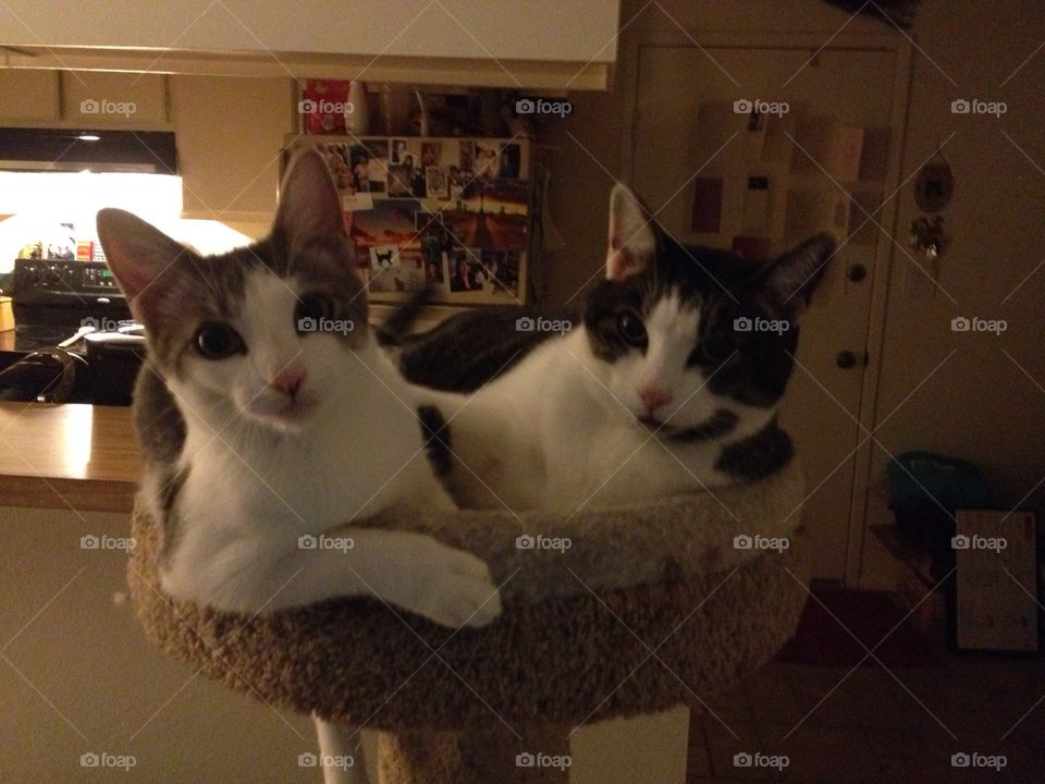 I was here first! Mom, tell him I was here first!