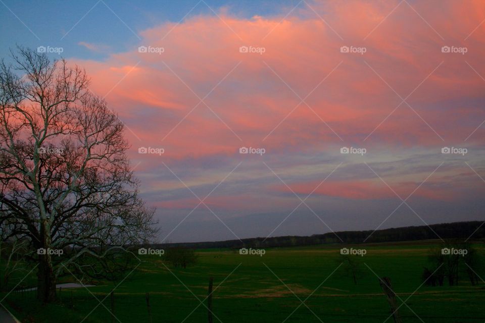 Bubblegum Clouds