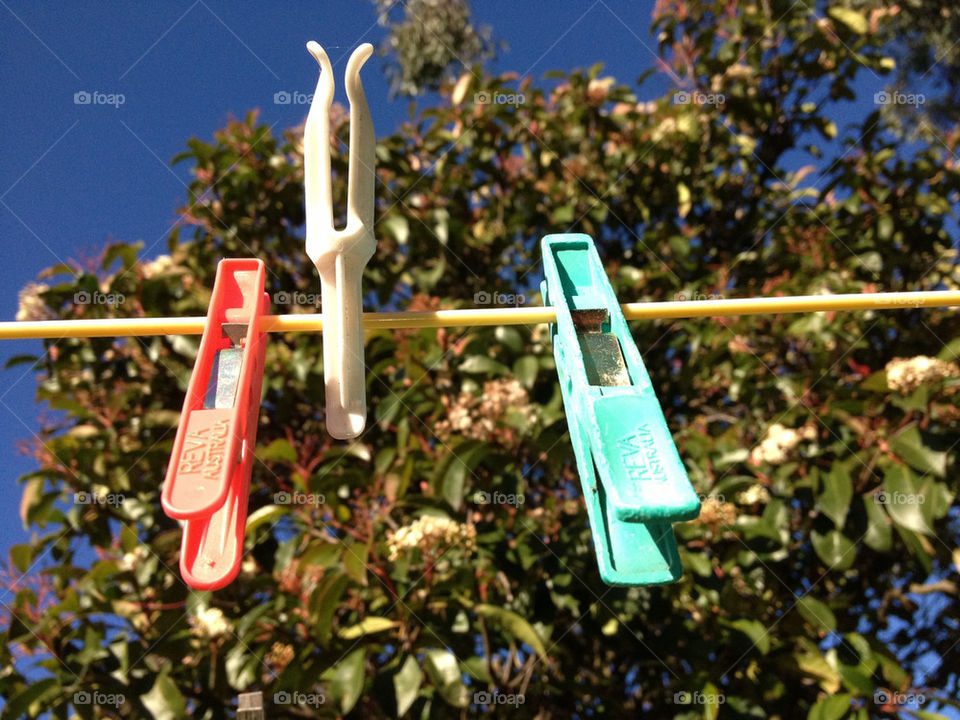 SUNSHINE AND CLOTHES PEGS
