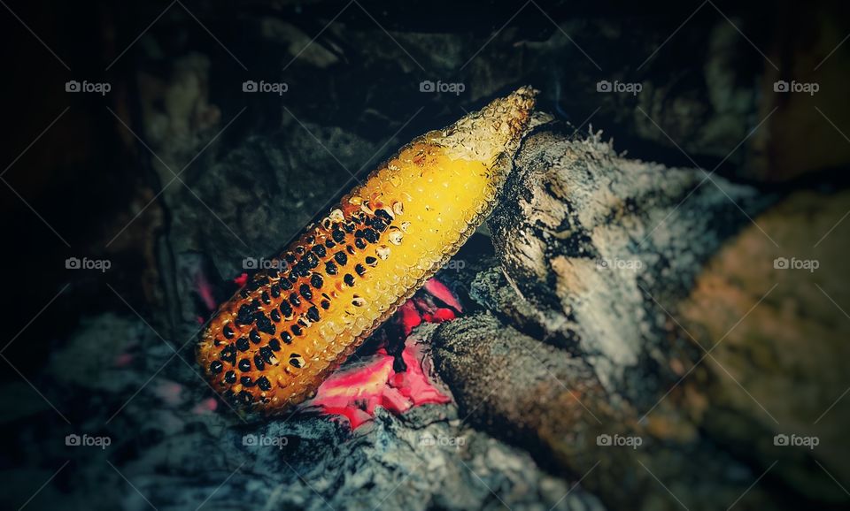 warming maize.