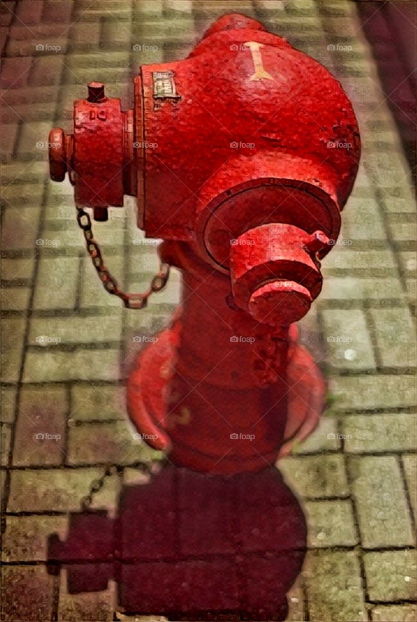 Artistic fire Hydrant