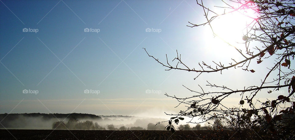 Morning Mist