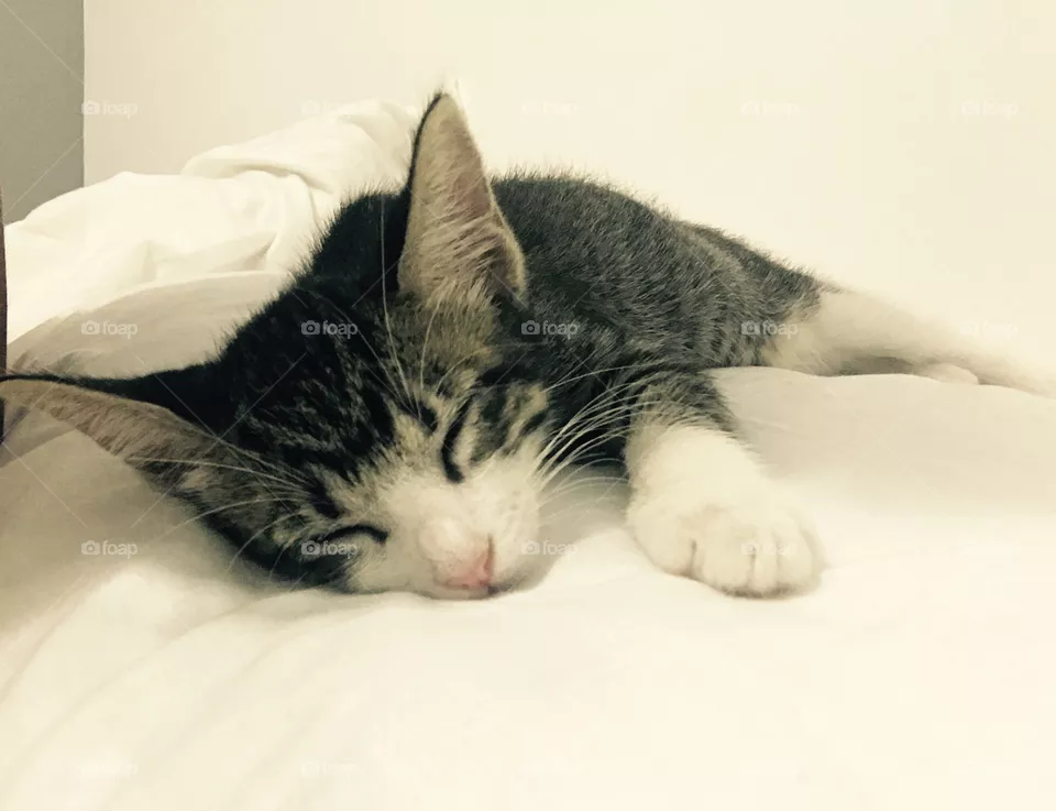 Nap! 