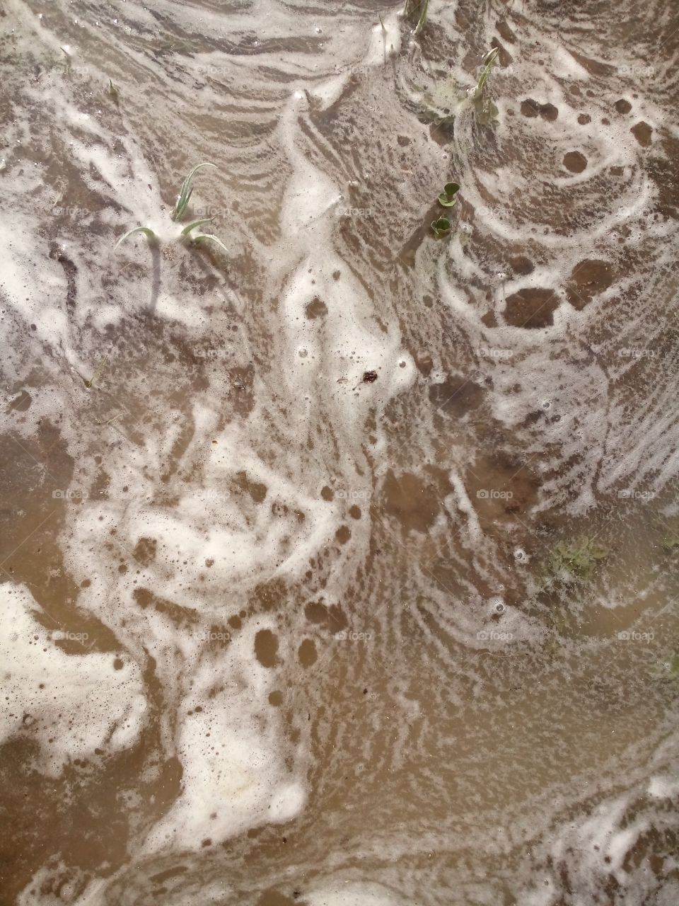 foam
 art on the water