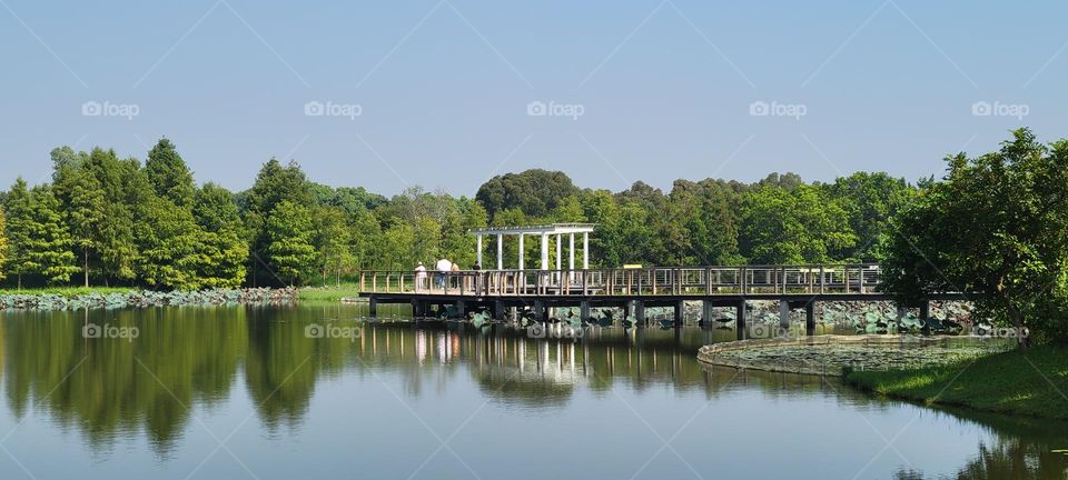 Hong Kong Wetland Park