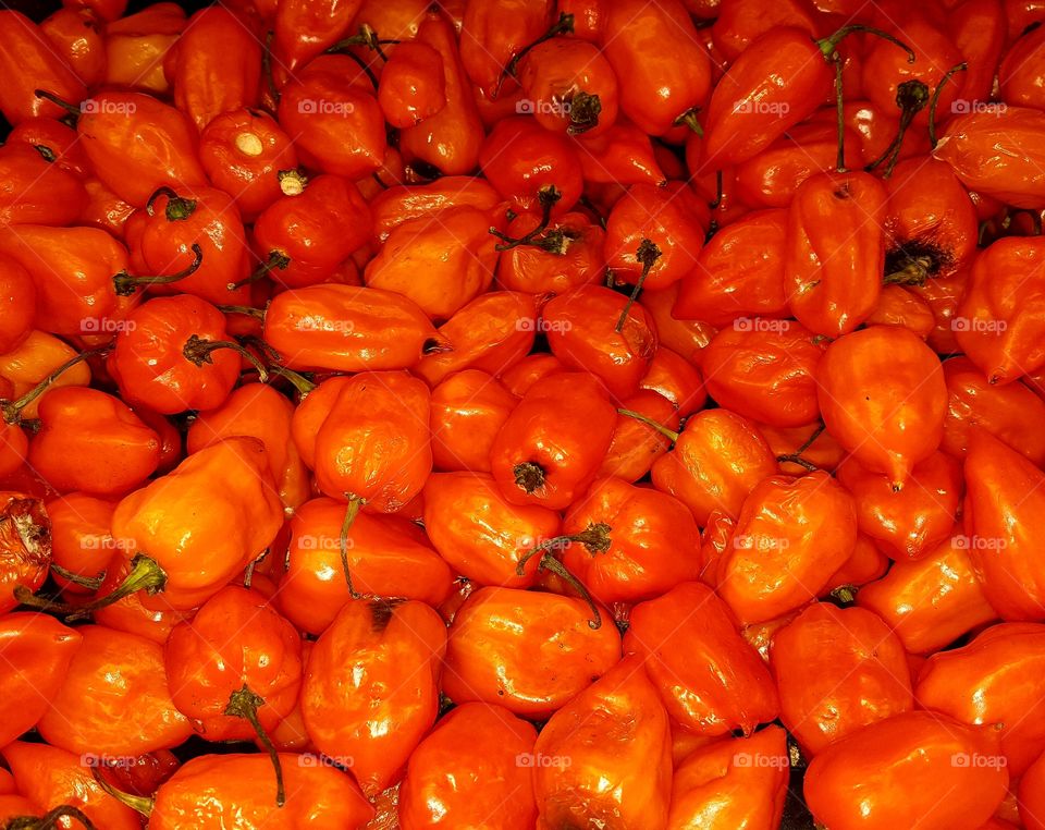 Tiny orange peppers in plenty.