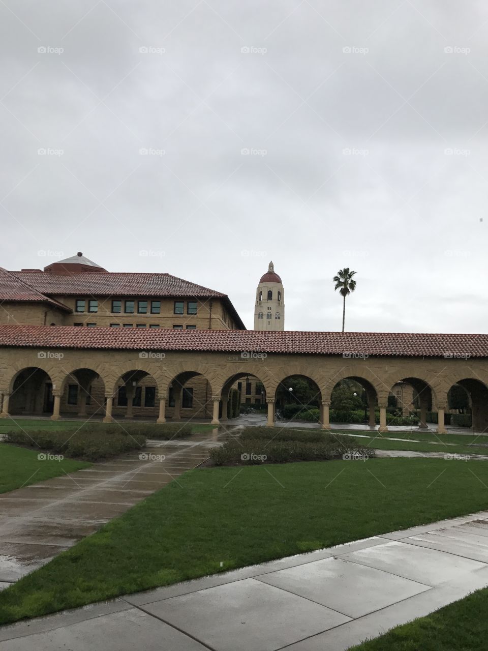 Stanford