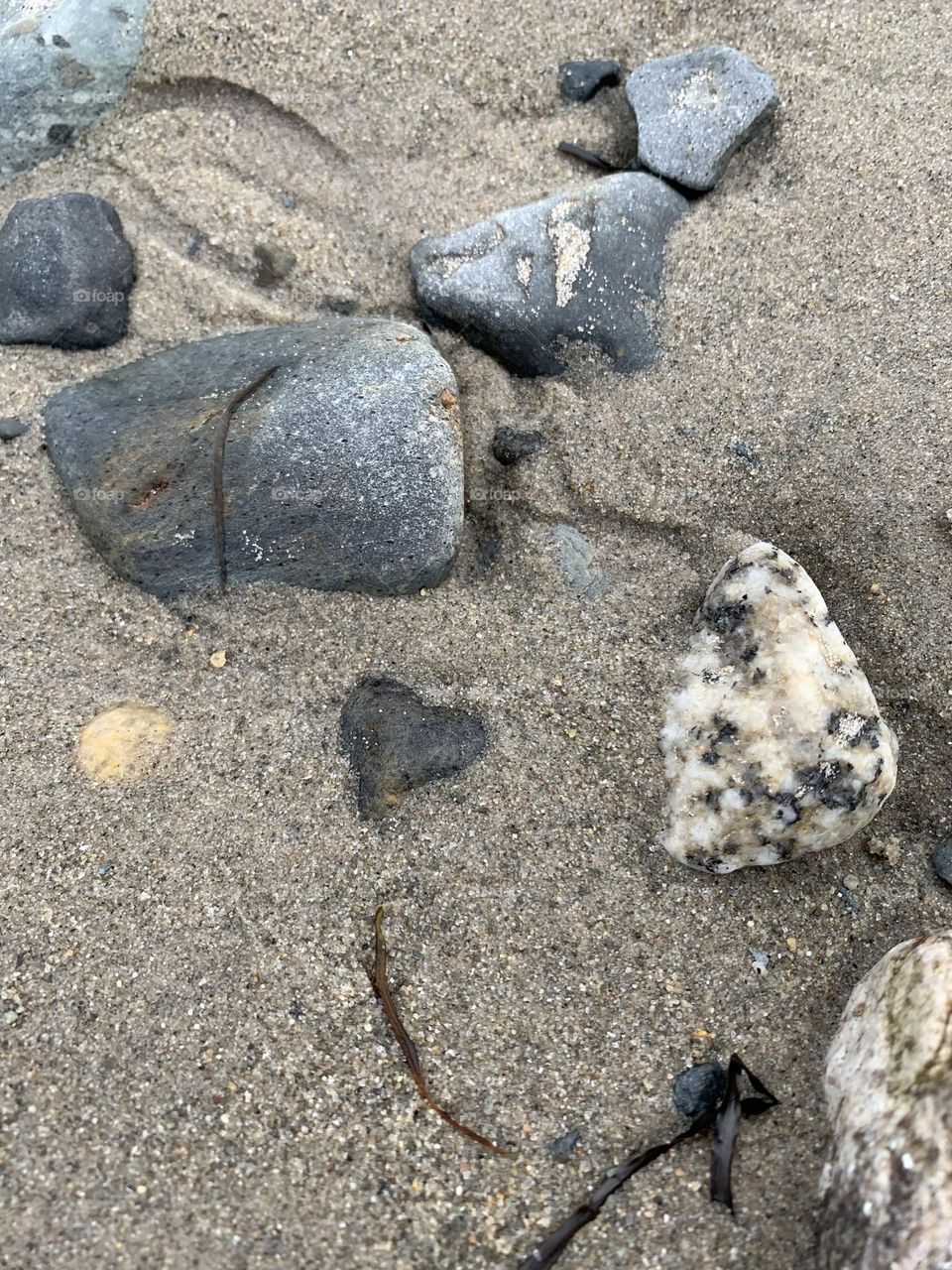 The heart of Ingomar 