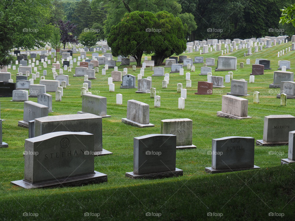 Washington Memorial Cemetery soldier deceased 