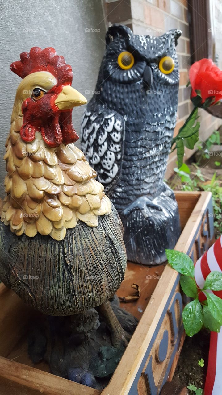 chicken and owl statue