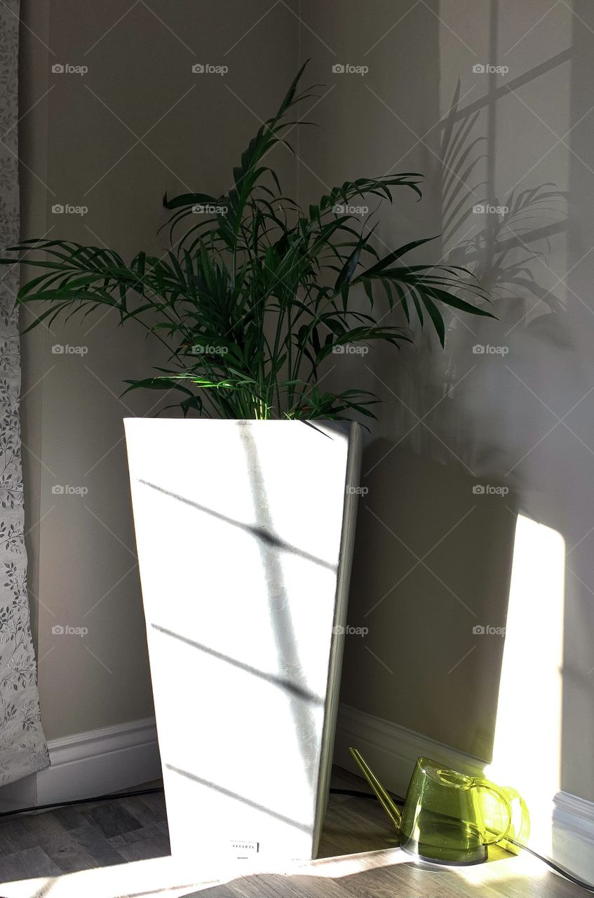 Shawdows and Highlights