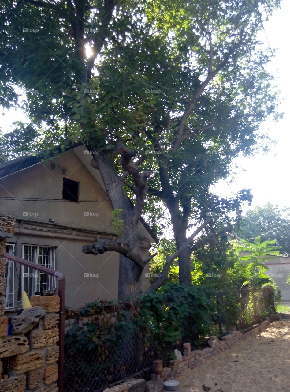 Дом участок