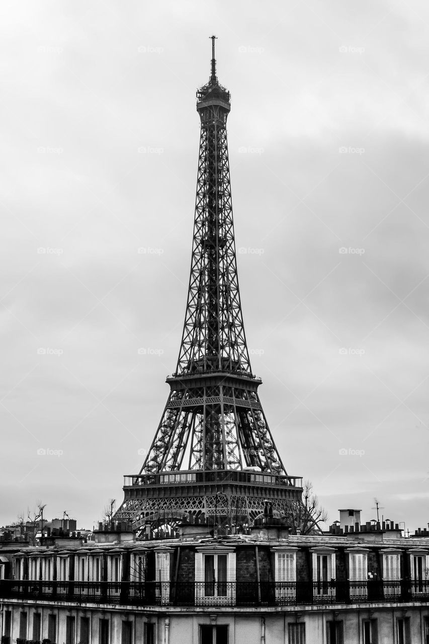 A view of the Eiffel Tower, tall above some Haussmann apartment buildings