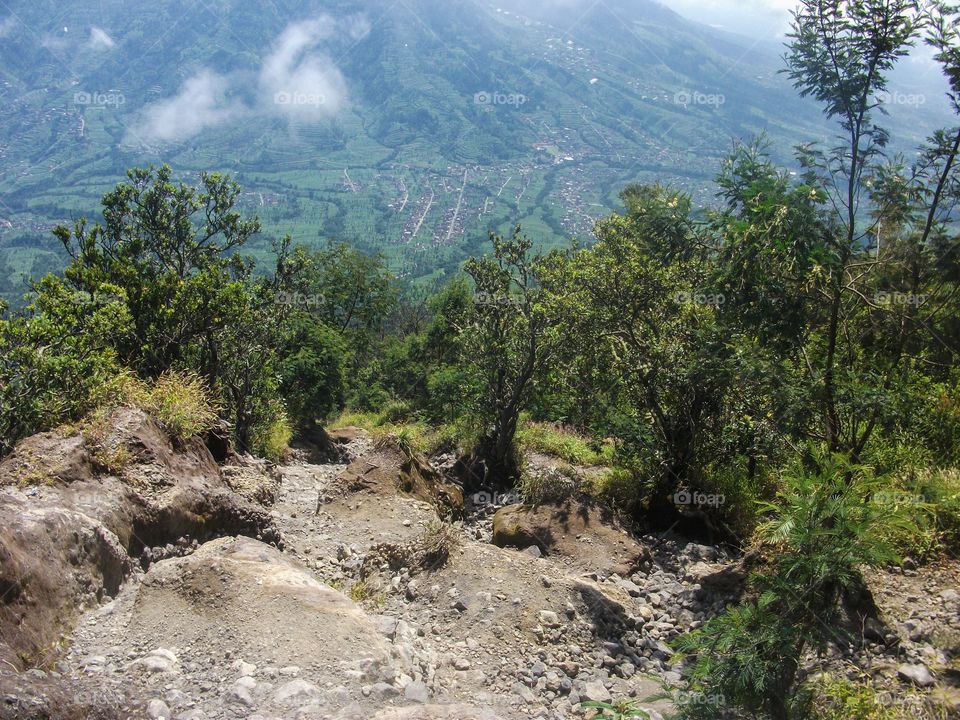 Agriculture of Merapi Mountain