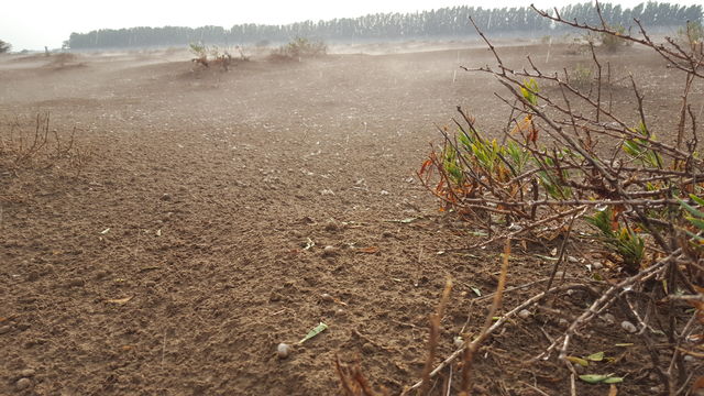Rain in the desert
