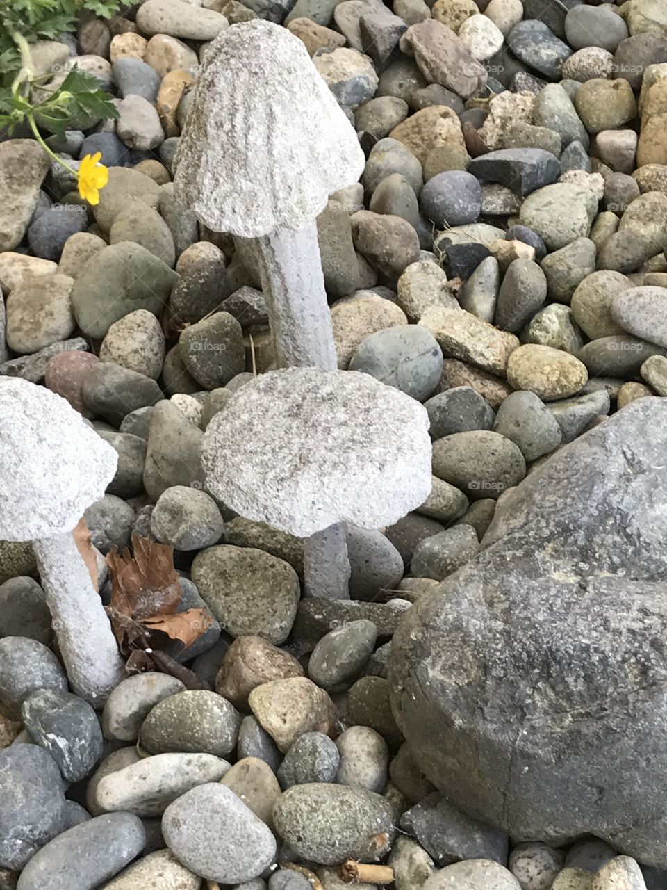 Outdoor Decorative mushrooms