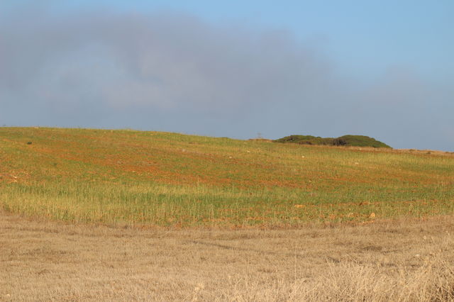 Green Fields countryside 