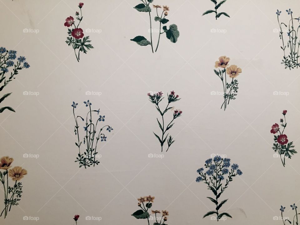 Lovely, whimsical floral wallpaper in the restroom at Summit Ministries in Manitou Springs Colorado. The Hotel they use has been around since the 1800s.