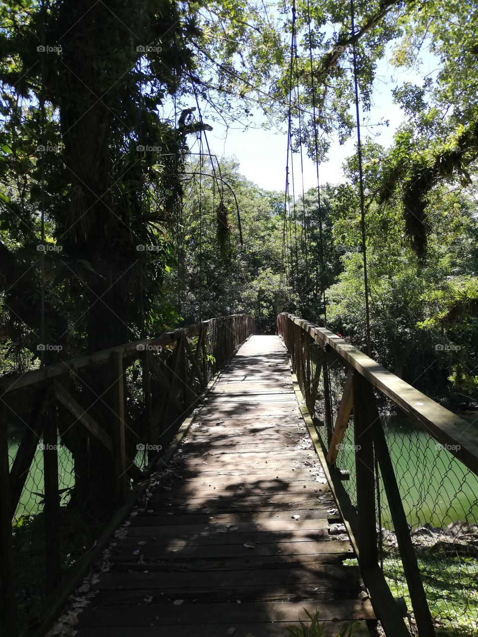 Los Naranjos, Honduras