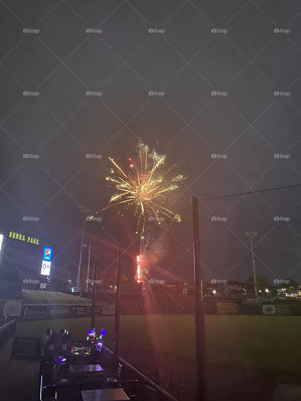 Beautiful fireworks in the night sky 