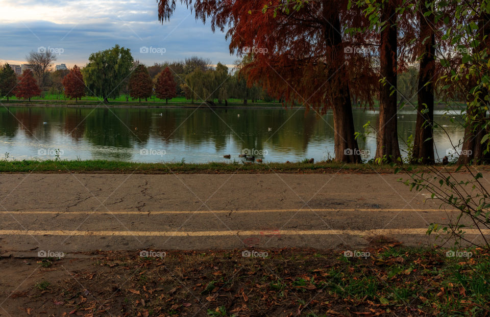 By the lake