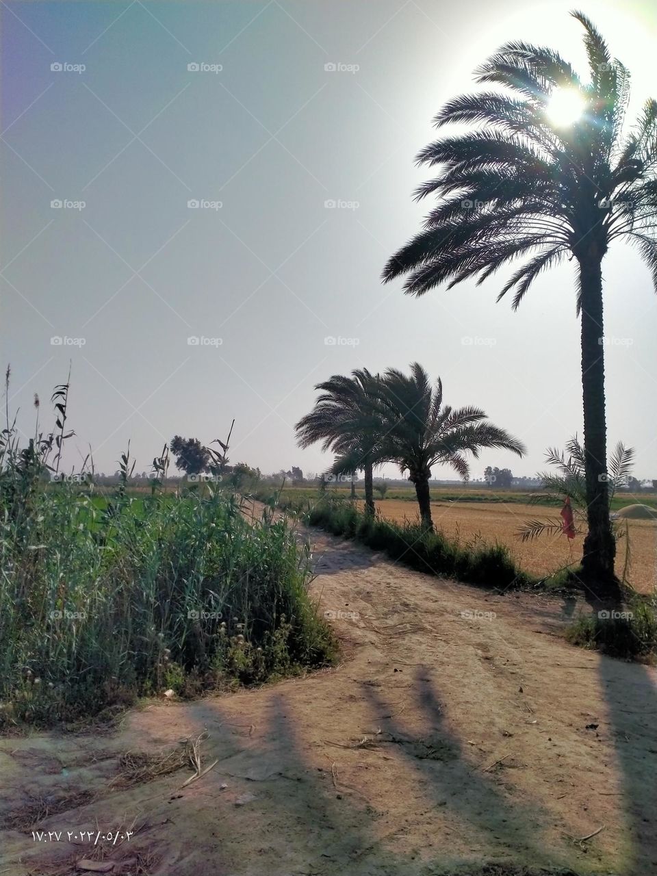 His pictures of a natural view