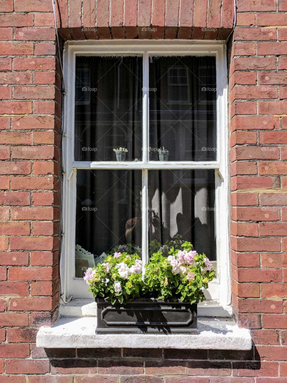 Vintage sash window on a red brick house with a lovely window box of white and pink flowers