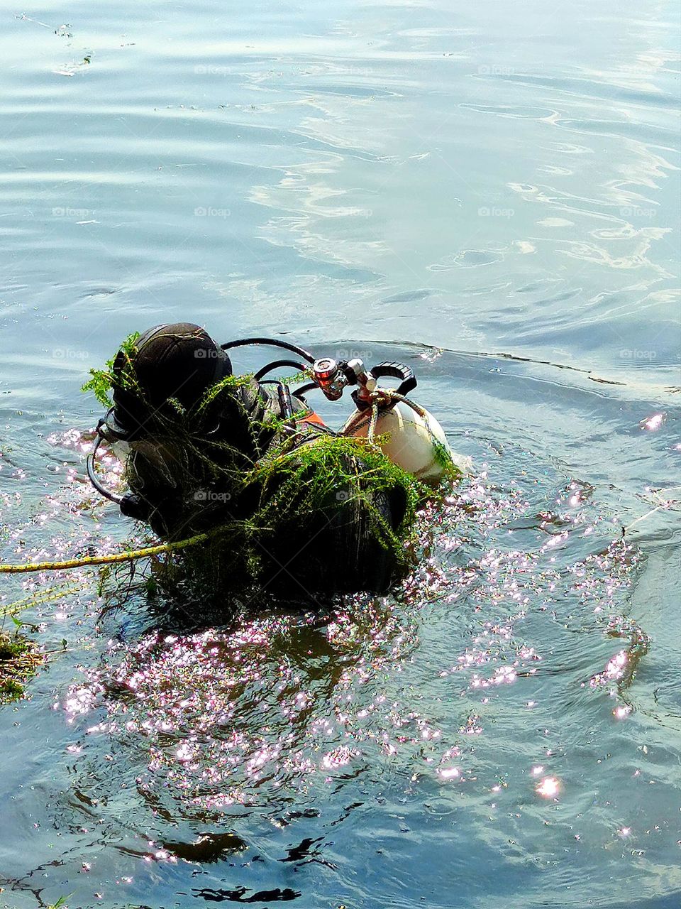The scuba diver comes out of the river to the shore.  Green algae hanging on a scuba diver